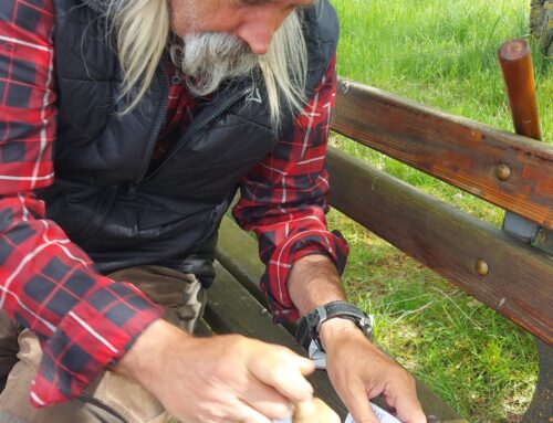 Pilgerpass für den kleinen Schaafheimer Jakobsweg