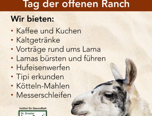 Tag der offenen Türe auf der Lamaranch